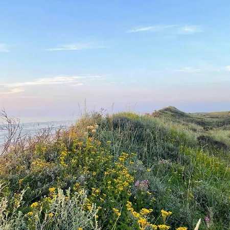 House On Natural Plot Overlooking The Dune
