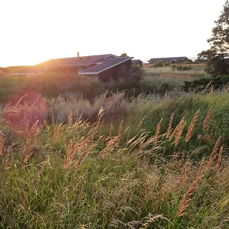 House On Natural Plot Overlooking The Dune Bindslev