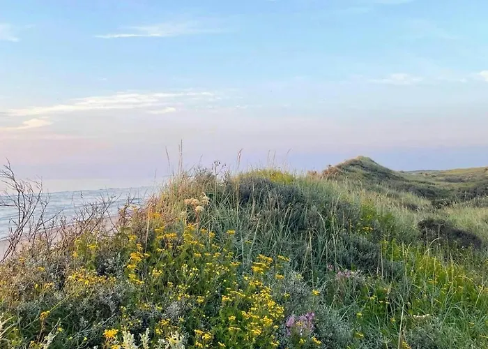 House On Natural Plot Overlooking The Dune