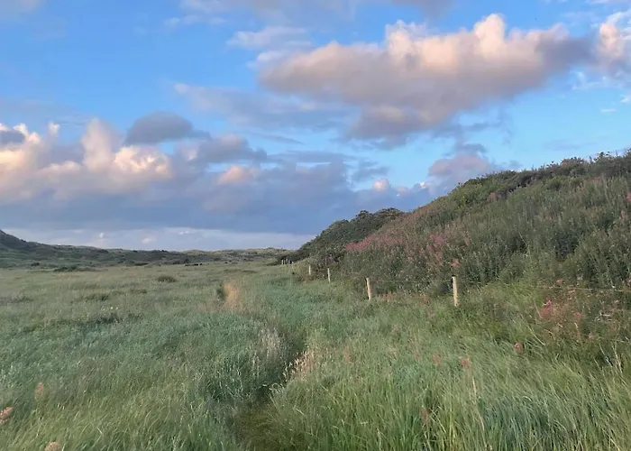 House On Natural Plot Overlooking The Dune 度假居 Bindslev
